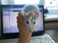 /album/fotogaleria/g-5-jpg/